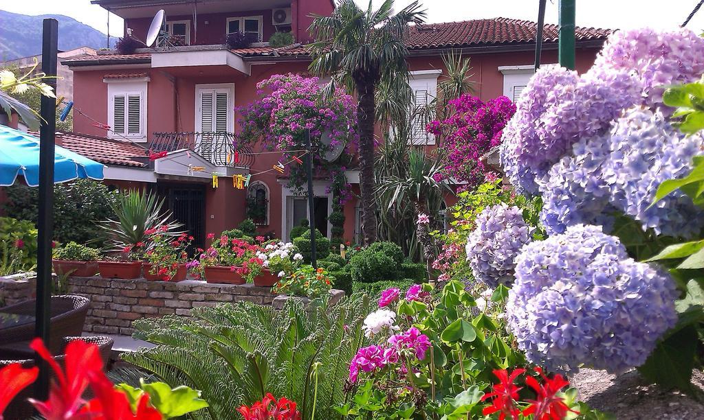 Apartment City Garden Kotor Bilik gambar